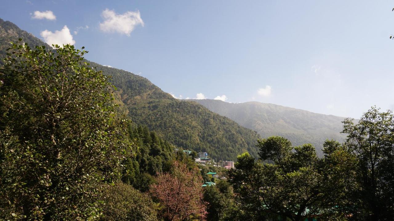 דרמסאלה Angela'S Boutique Homes Dharamkot מראה חיצוני תמונה